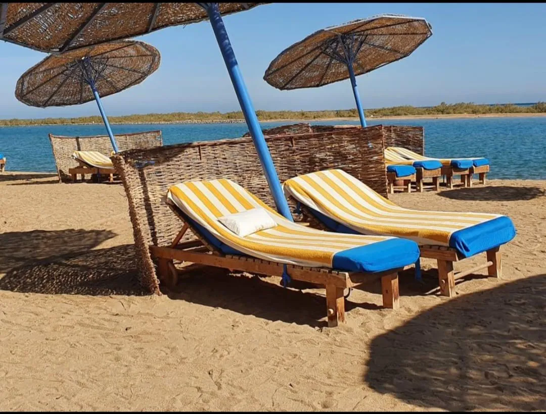 🏖️✨ Zeytouna Beach Day Trip – El Gouna 🌊☀️ Zetouna Beach Day Trip El Gouna /IMG-20260702-WA0109.jpg